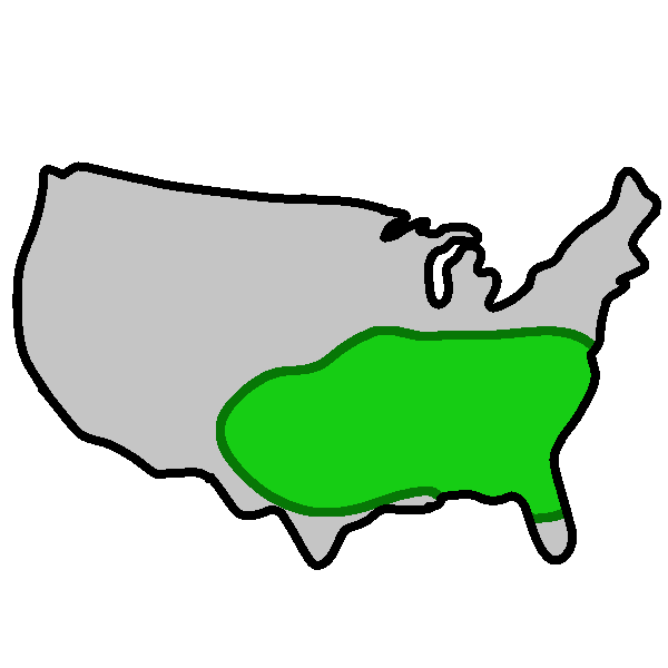 A gray map of the United States with the Bible Belt, a region taking up most of the Southern and lower Mid-West regions, highlighted in green.